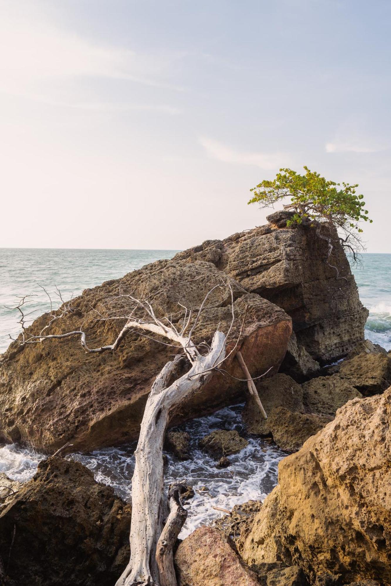Paraiso Natural Ecohotel San Bernardo del Viento Zewnętrze zdjęcie